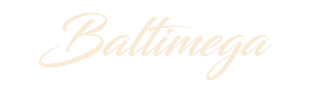 Baltimega Logo Wide Transparent
